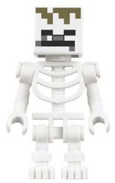 Afbeeldingen van Skeleton- min102- Minecraft
