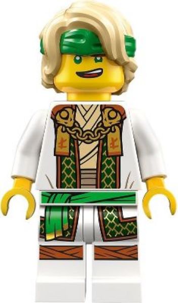 Afbeeldingen van Lloyd - Master Lloyd- njo0853- Ninjago