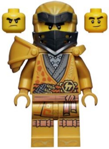 Afbeeldingen van Cole - 10th Anniversary Golden Ninja- njo0651- Ninjago