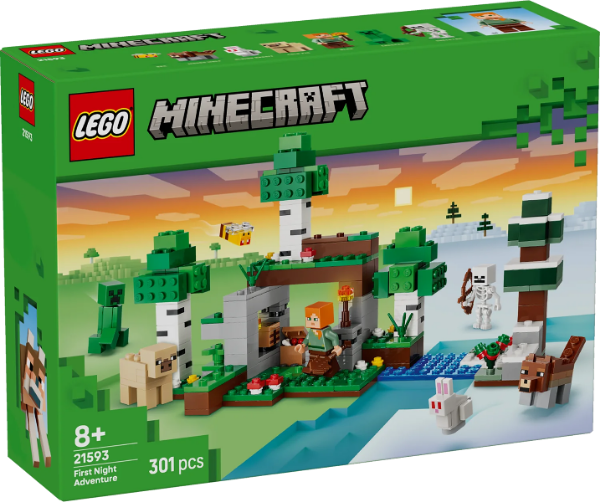 Afbeeldingen van LEGO 21593 Minecraft Eerste Nacht