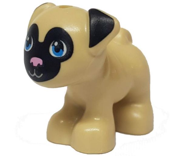 Afbeeldingen van Hond toffee - kopiëren